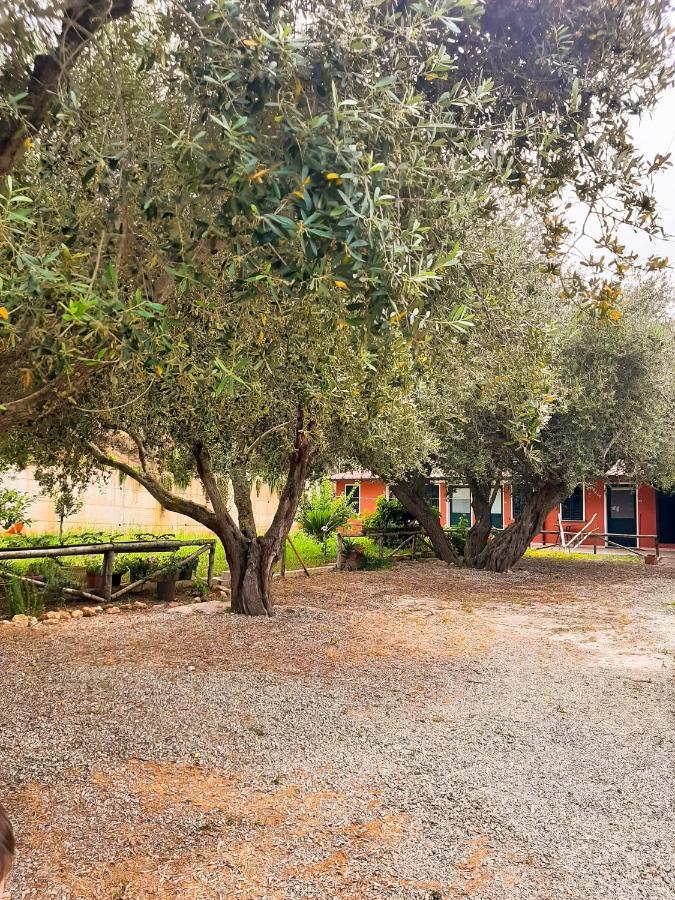 פרגליה Locanda Adele מראה חיצוני תמונה