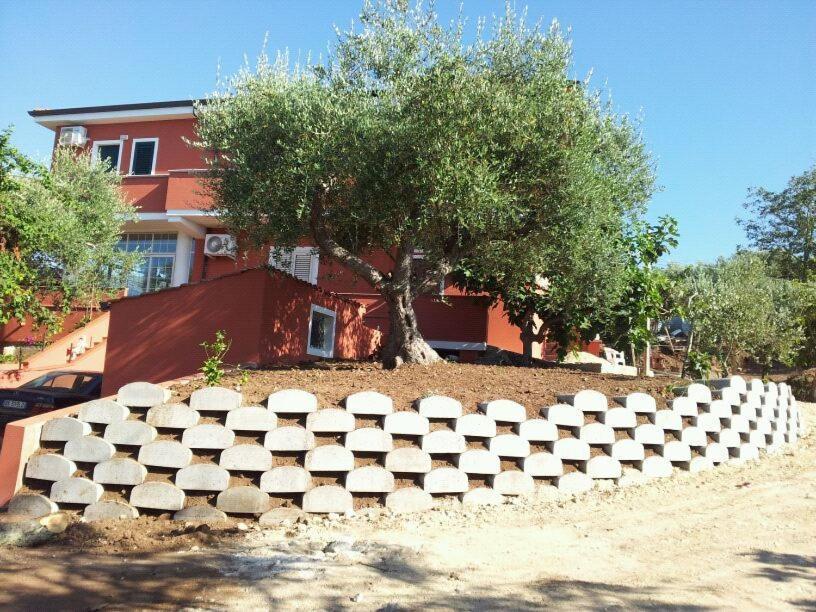 פרגליה Locanda Adele מראה חיצוני תמונה